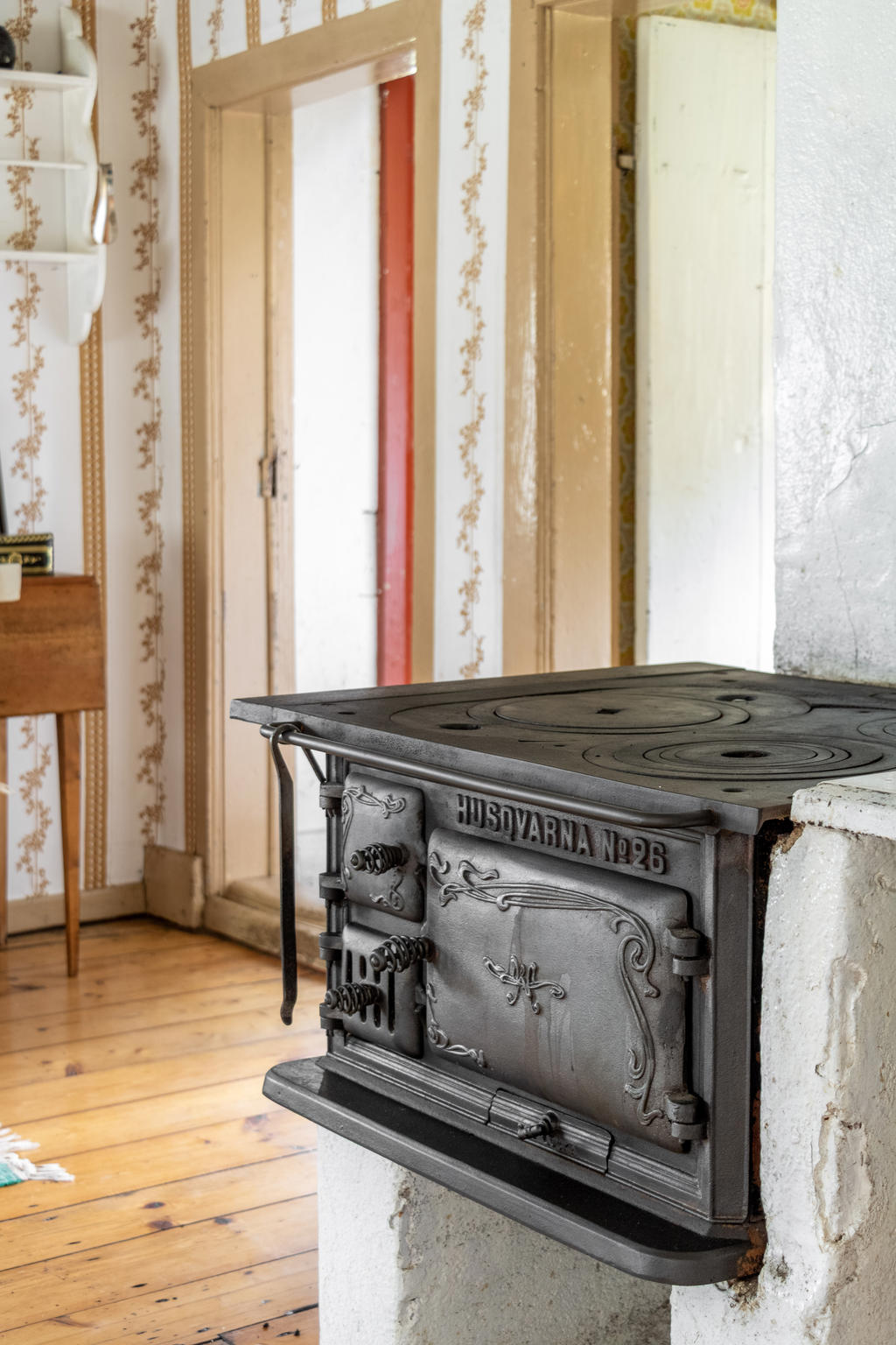 Vedpis