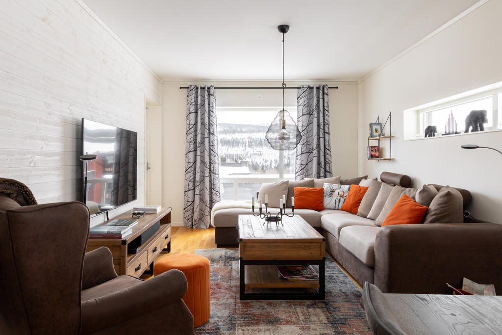 Utsikt över Renfjället.