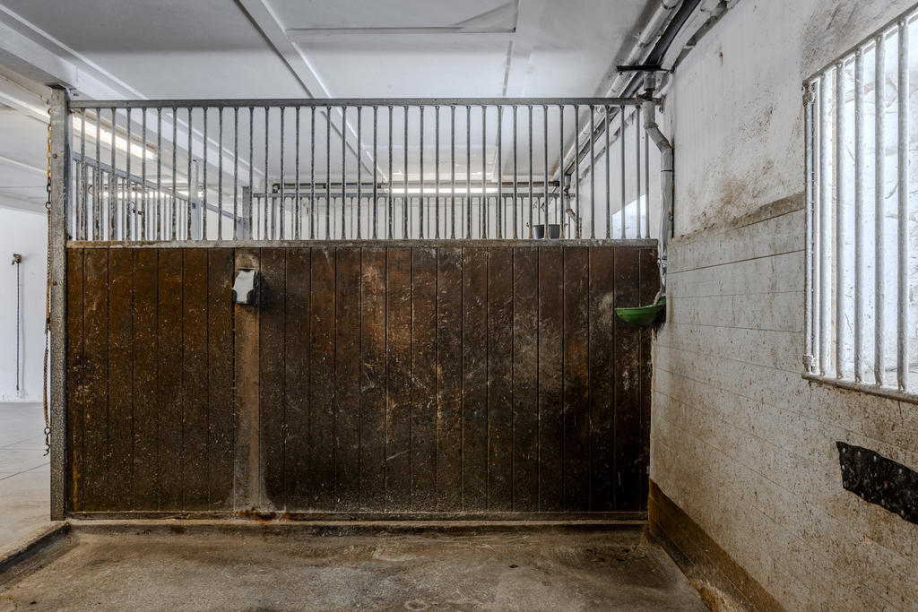 Automatiska vattenkoppar