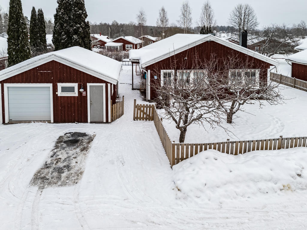 Fruktträd på framsidan