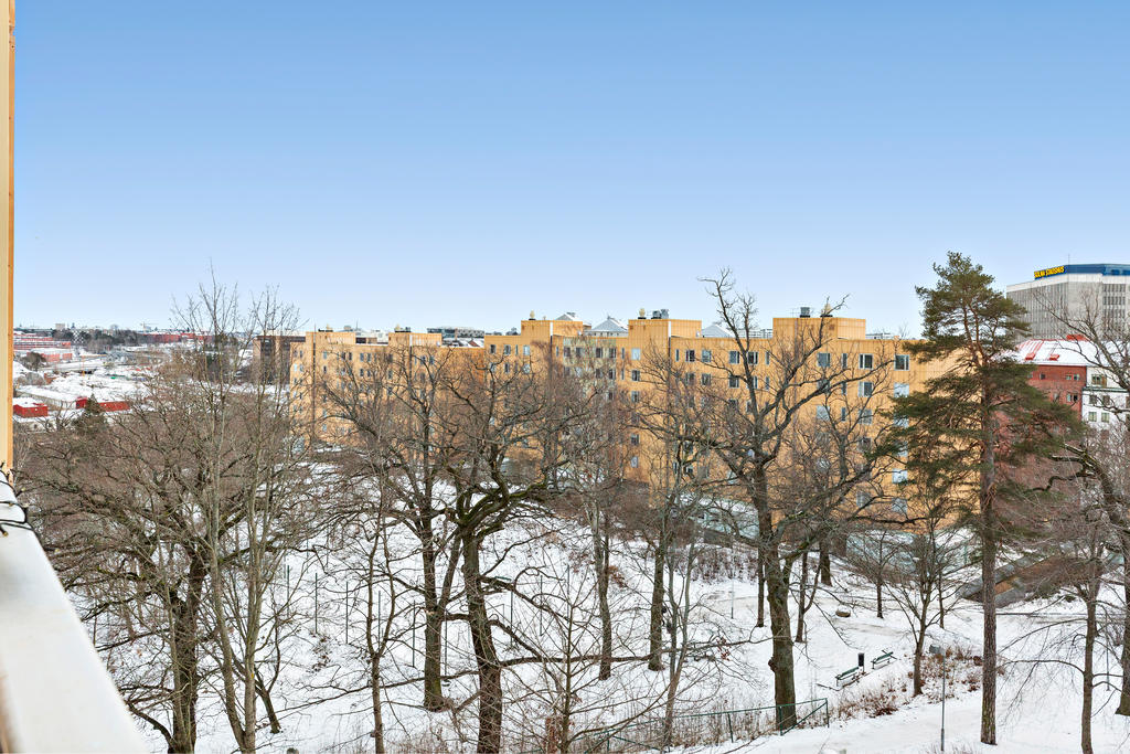 Fri vy över trädkronorna