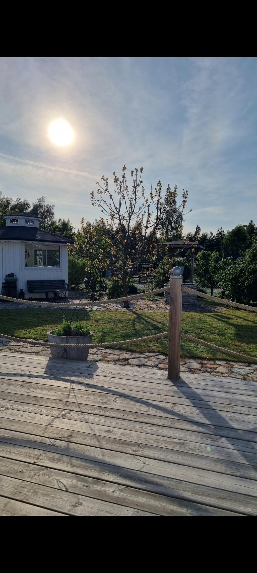 Säljarens trädgårdsbilder