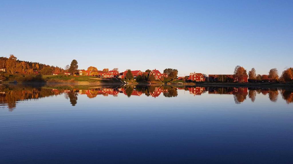 Säljarens egna sommarbilder.
