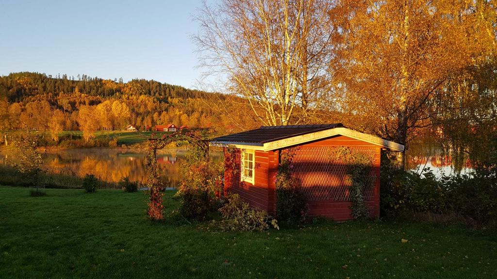 Säljarens egna sommarbilder.
