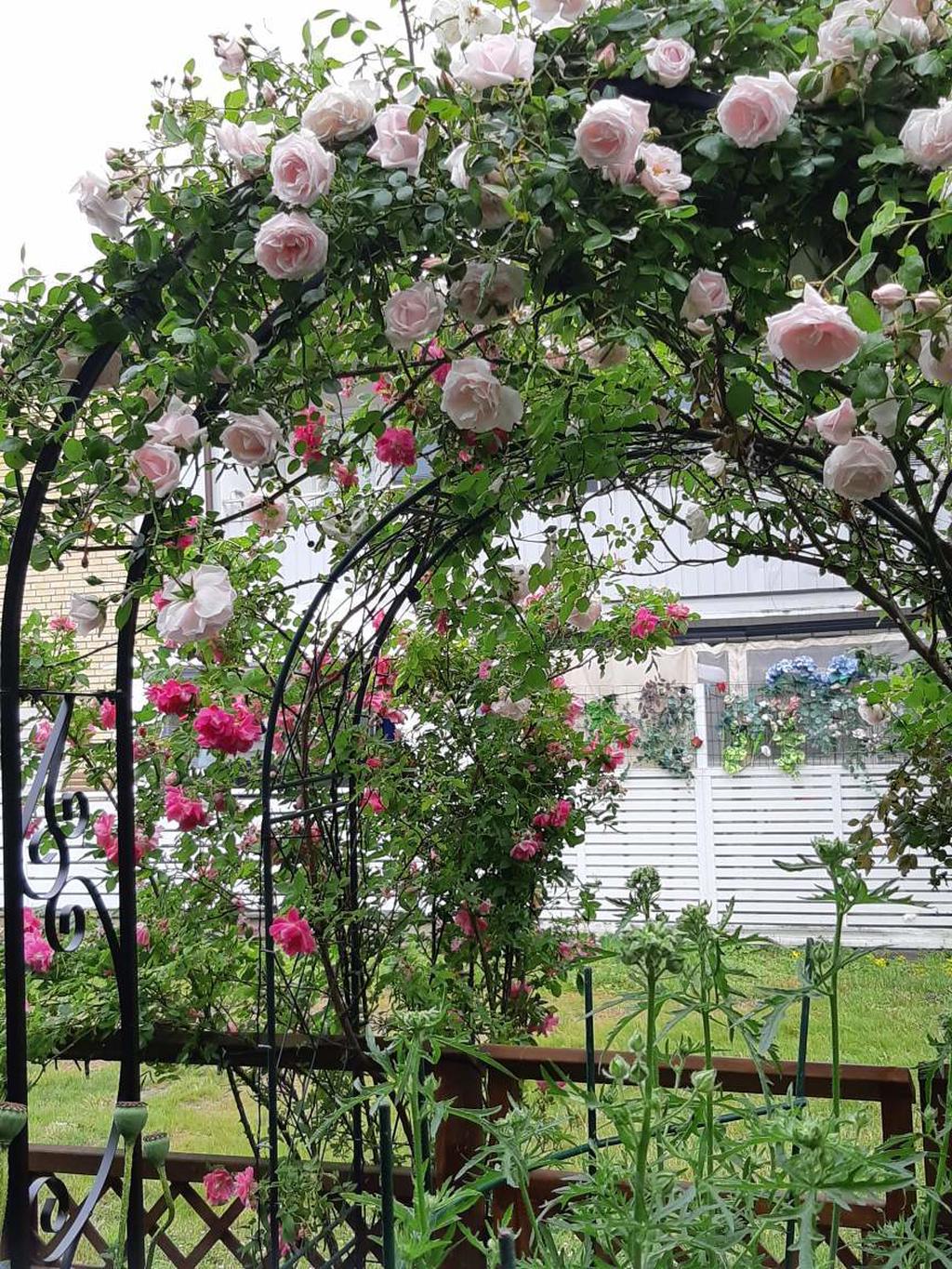 Säljarens egna bilder.