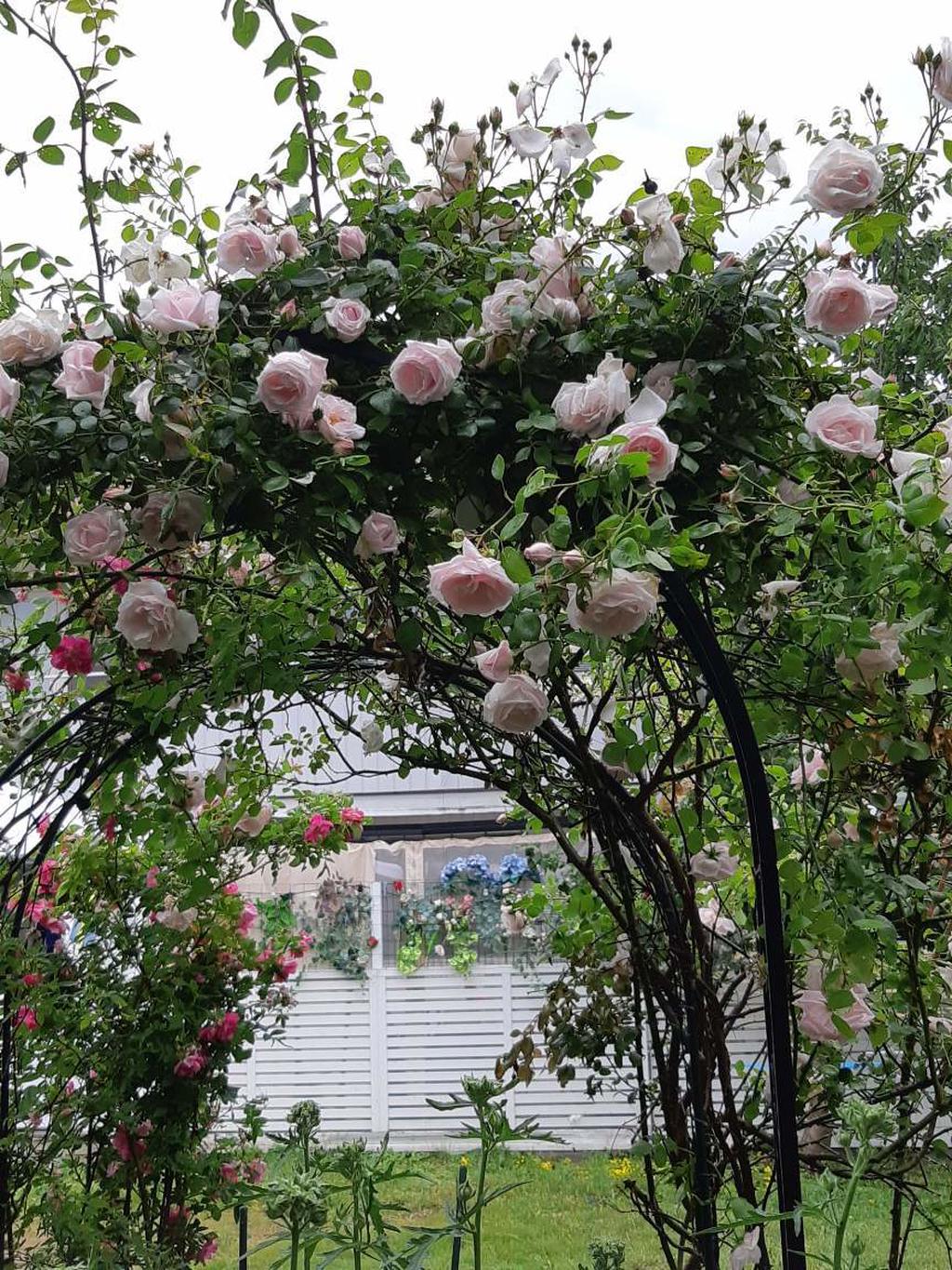 Säljarens egna bilder.