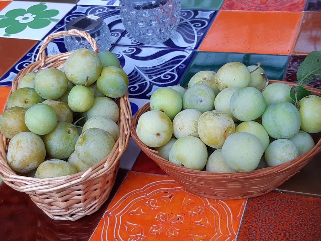 Säljarens egna bilder. Plommon från det egna trädet.