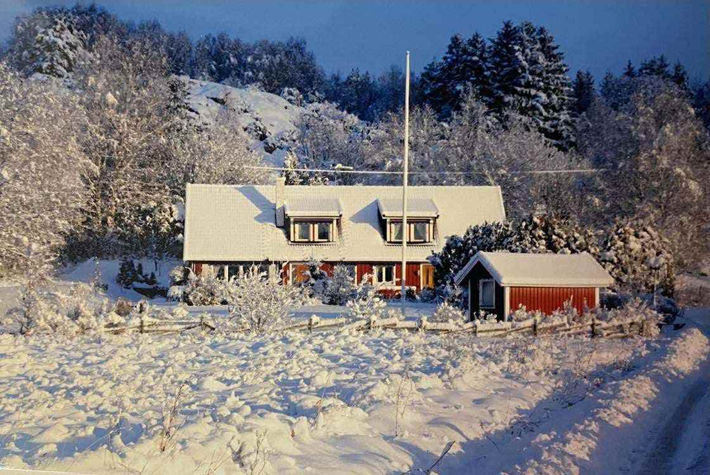 Säljarens egna bild (vinter)