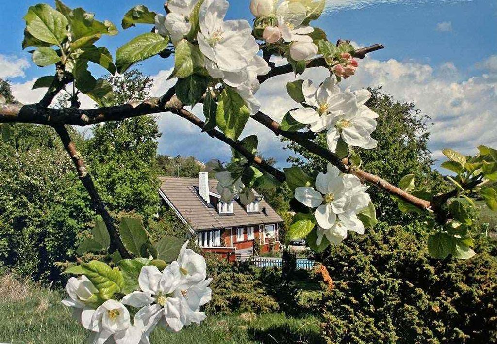 Varmt välkomna att lämna intresse!