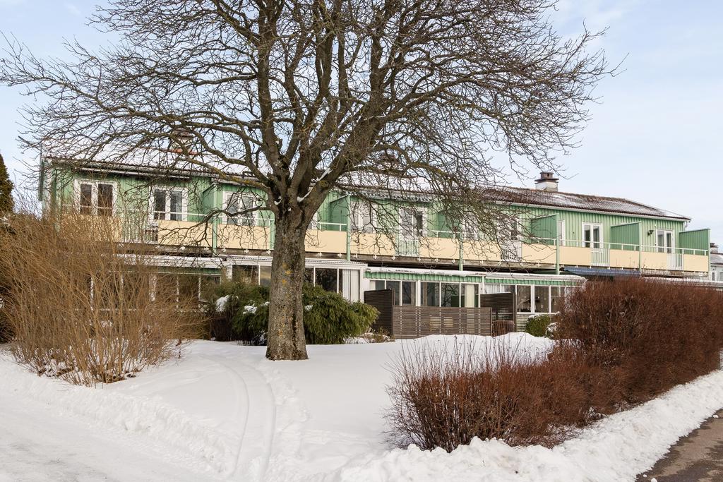 Översiktsbild av området med uppvuxna träd.