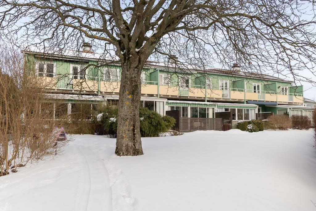 Områdesbild med grönska och gemensamma ytor.