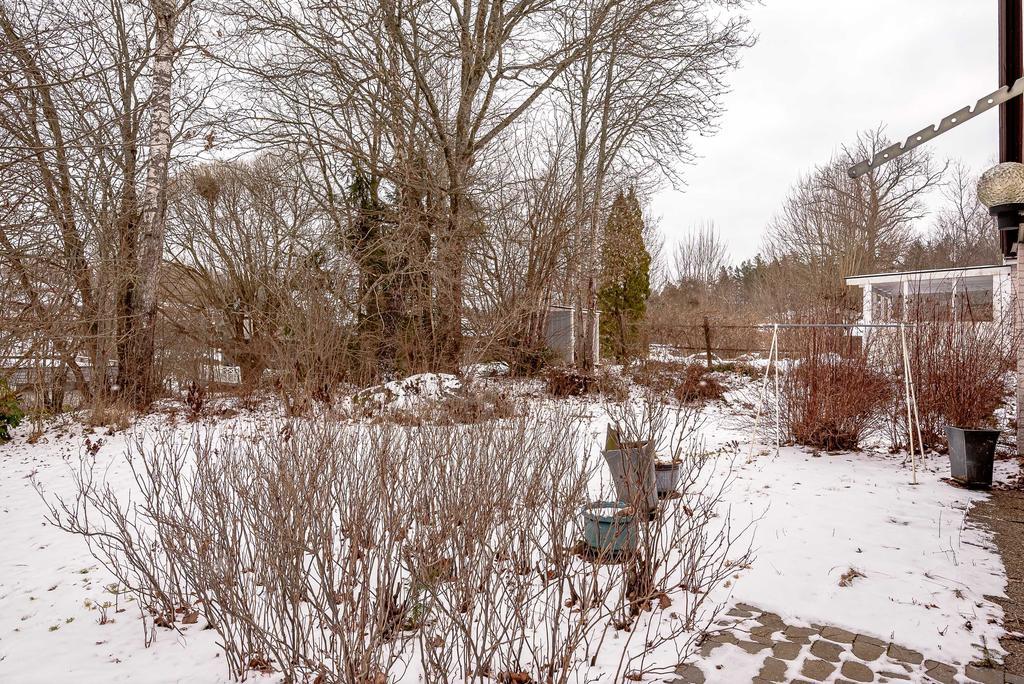 Baksida mot allmänning