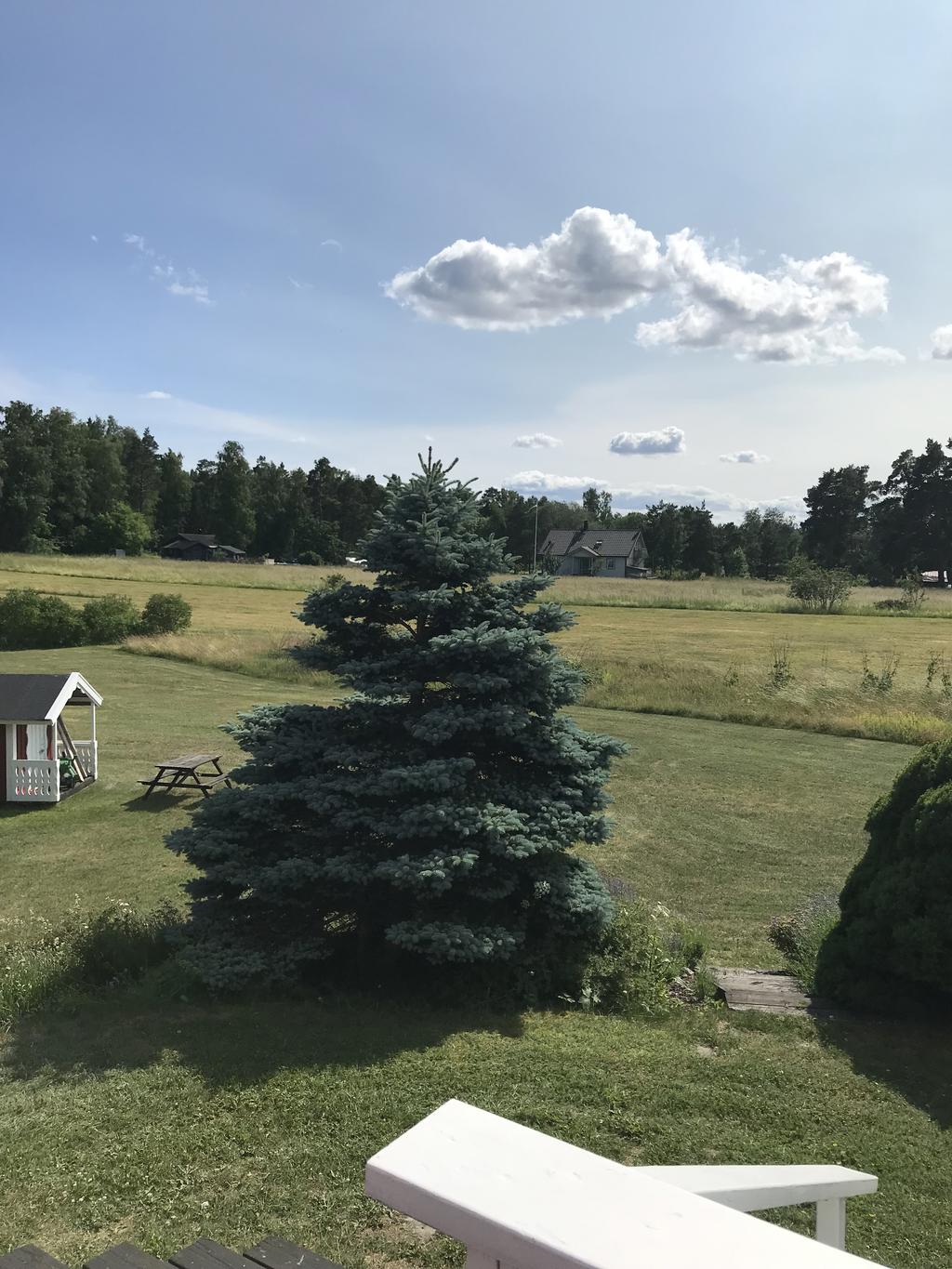 Sommarbild på idegranen och lekstugan