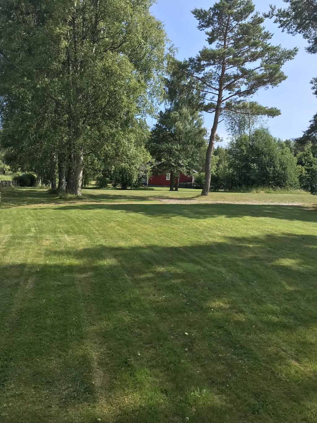 Bild från säljaren