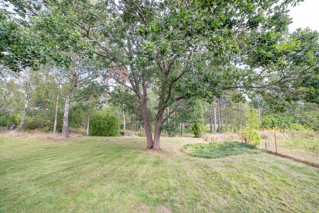 Säljaren egna bilder