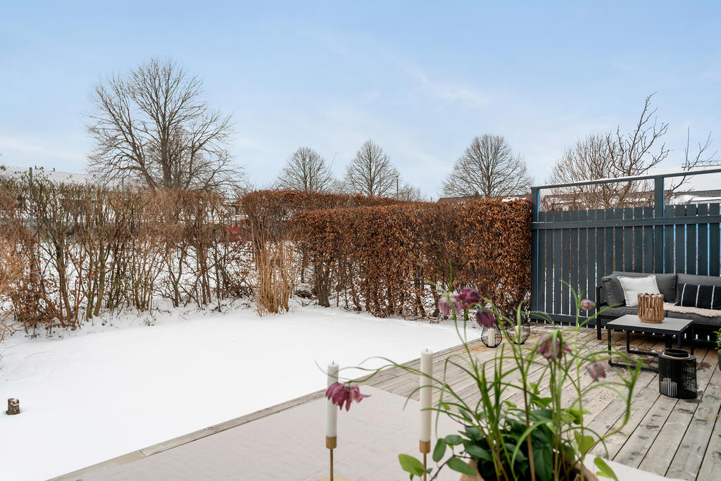 Mysig trädgård inramad med häck