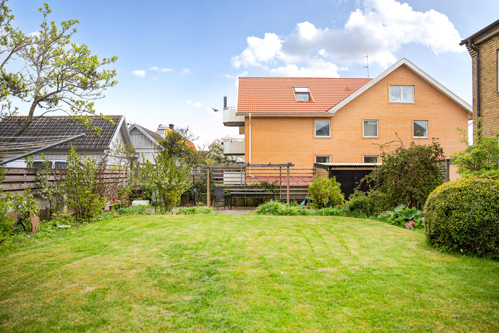 Trädgård