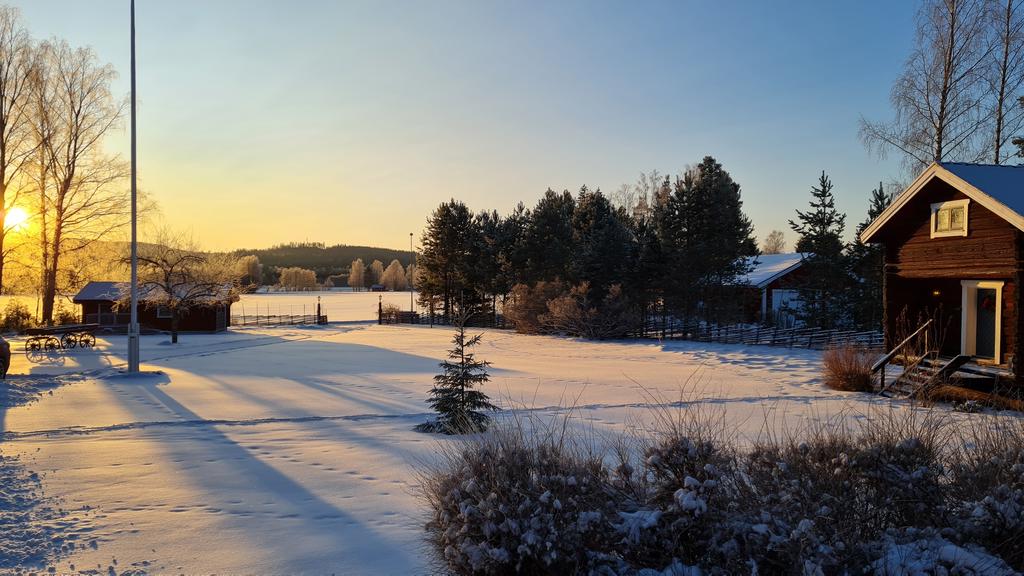 Säljarnas egna bilder.