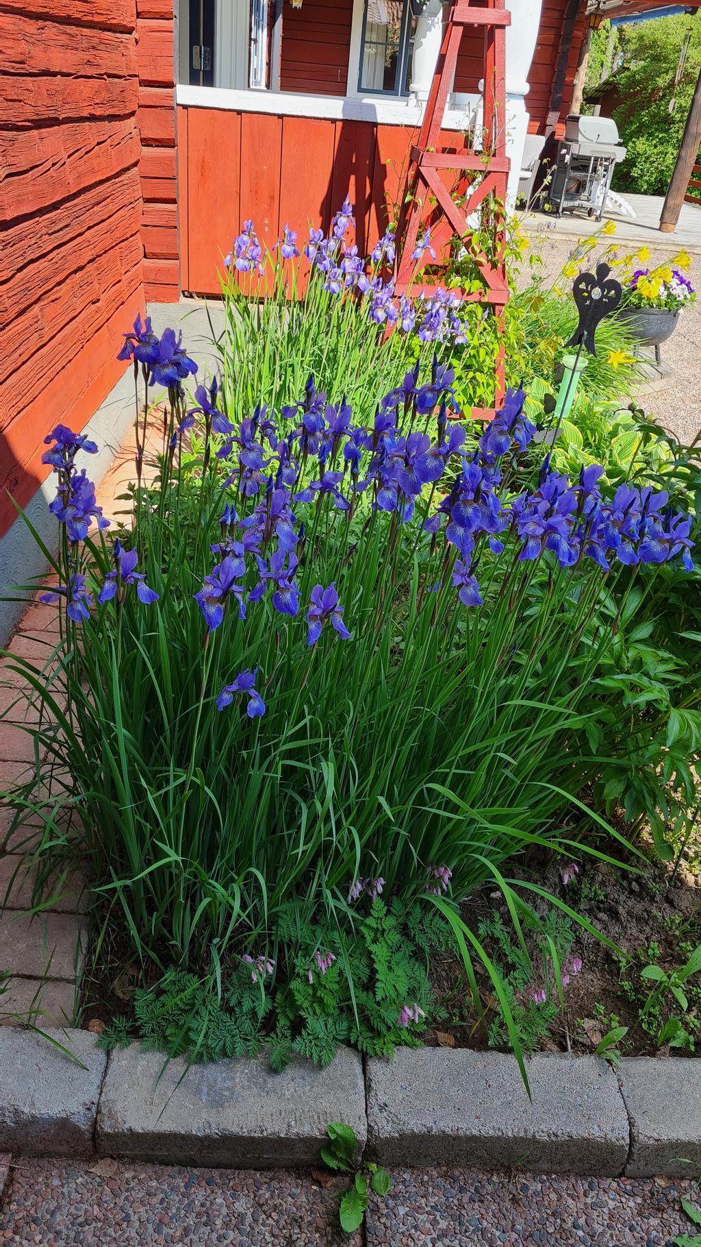 Säljarnas egna bilder.