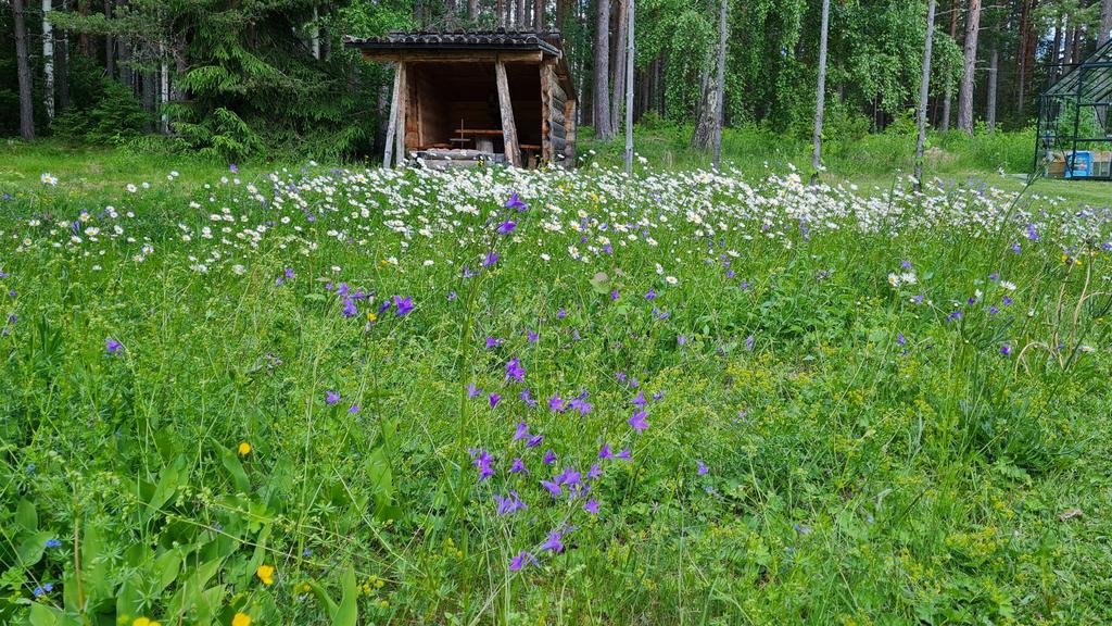 Säljarnas egna bilder.