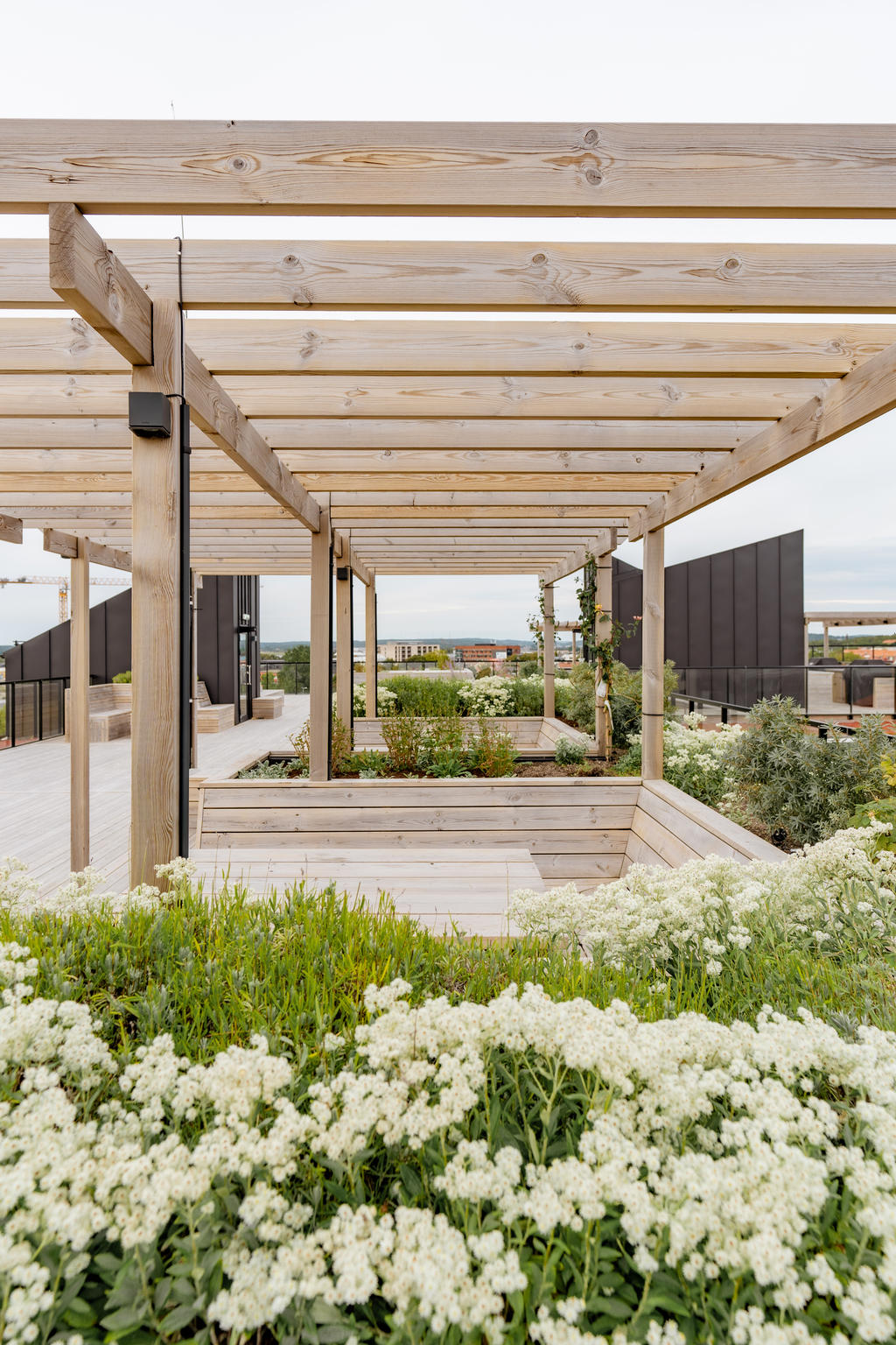 Säljarens sommarbild från den gemensamma takterrassen