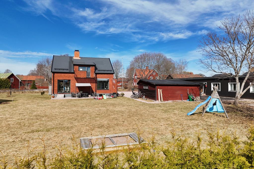 Lättskött trädgård med tujor under uppväxt