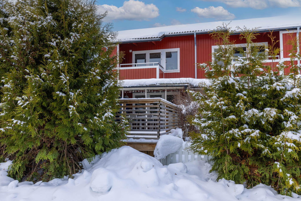 Insynskyddad uteplats i söderläge. 