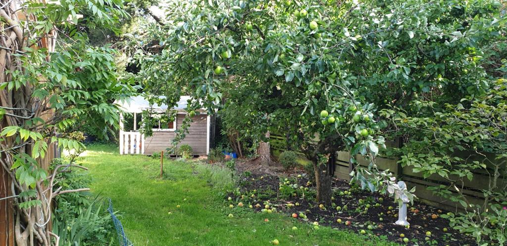 Säljarens egna bild