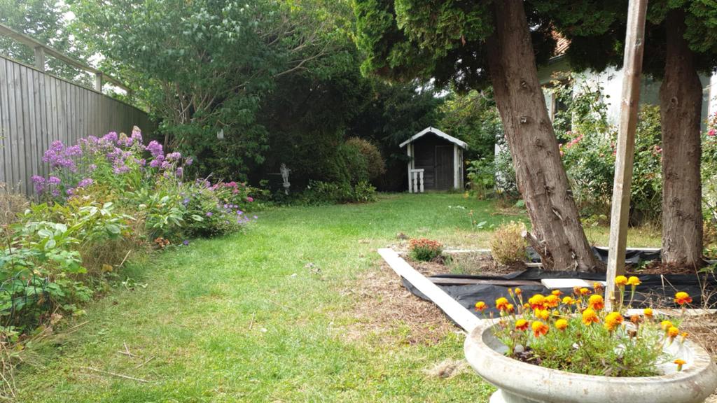 Säljarens egna bild