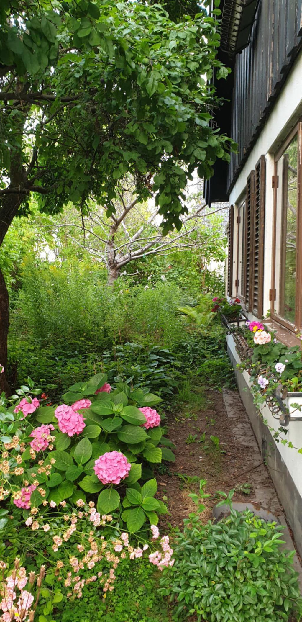 Säljarens egna bild