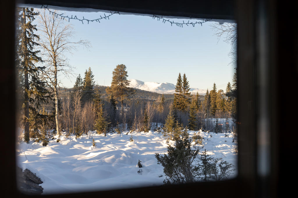 Vyn från vardagsrummet.