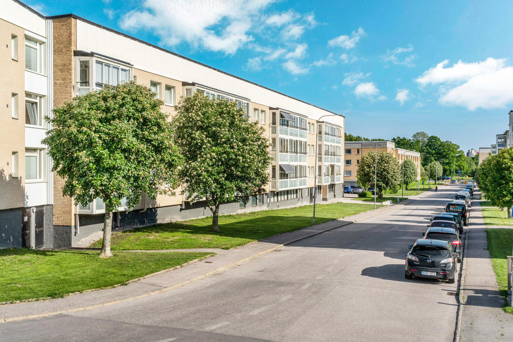 Från Tellusvägen om sommaren