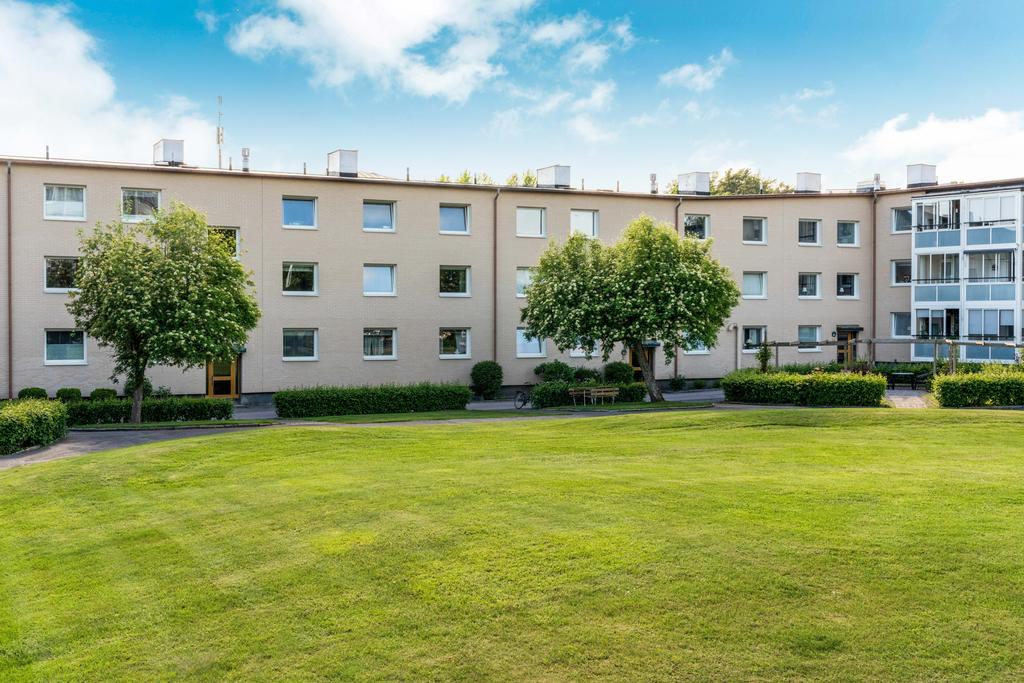 Innergården i sommarens grönska