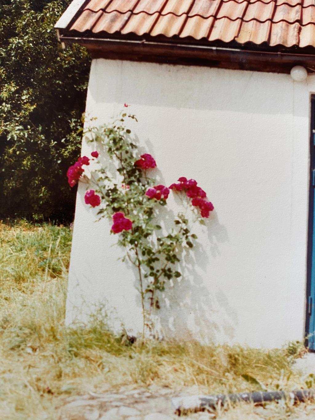 Äldre bild från säljaren