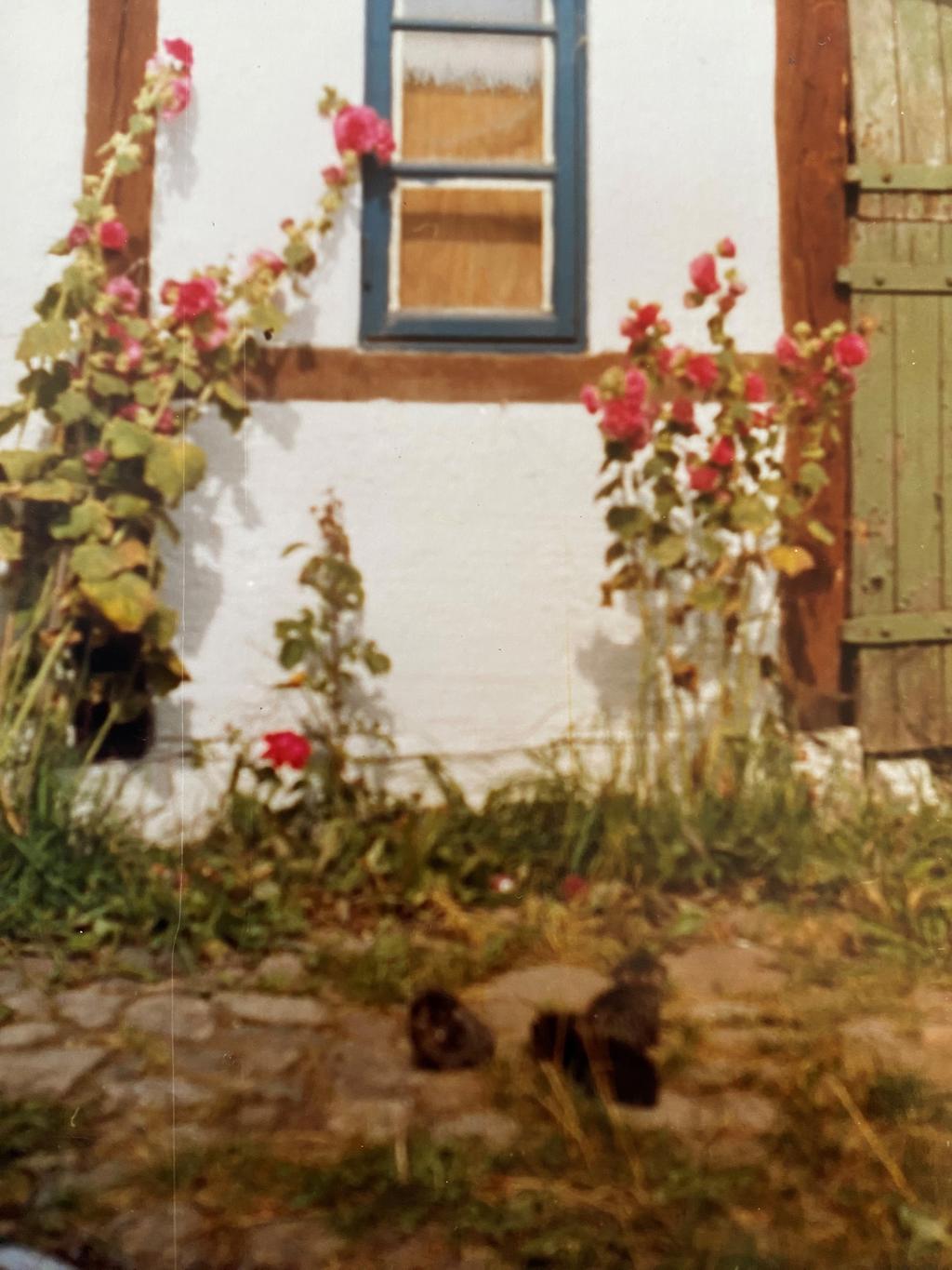 Äldre bild från säljaren