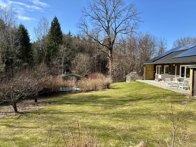 Härlig trädgårdssida med utomhuspool