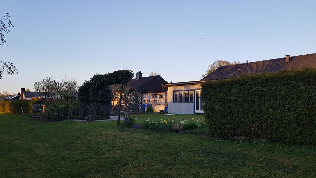 Trädgården i sommarskrud