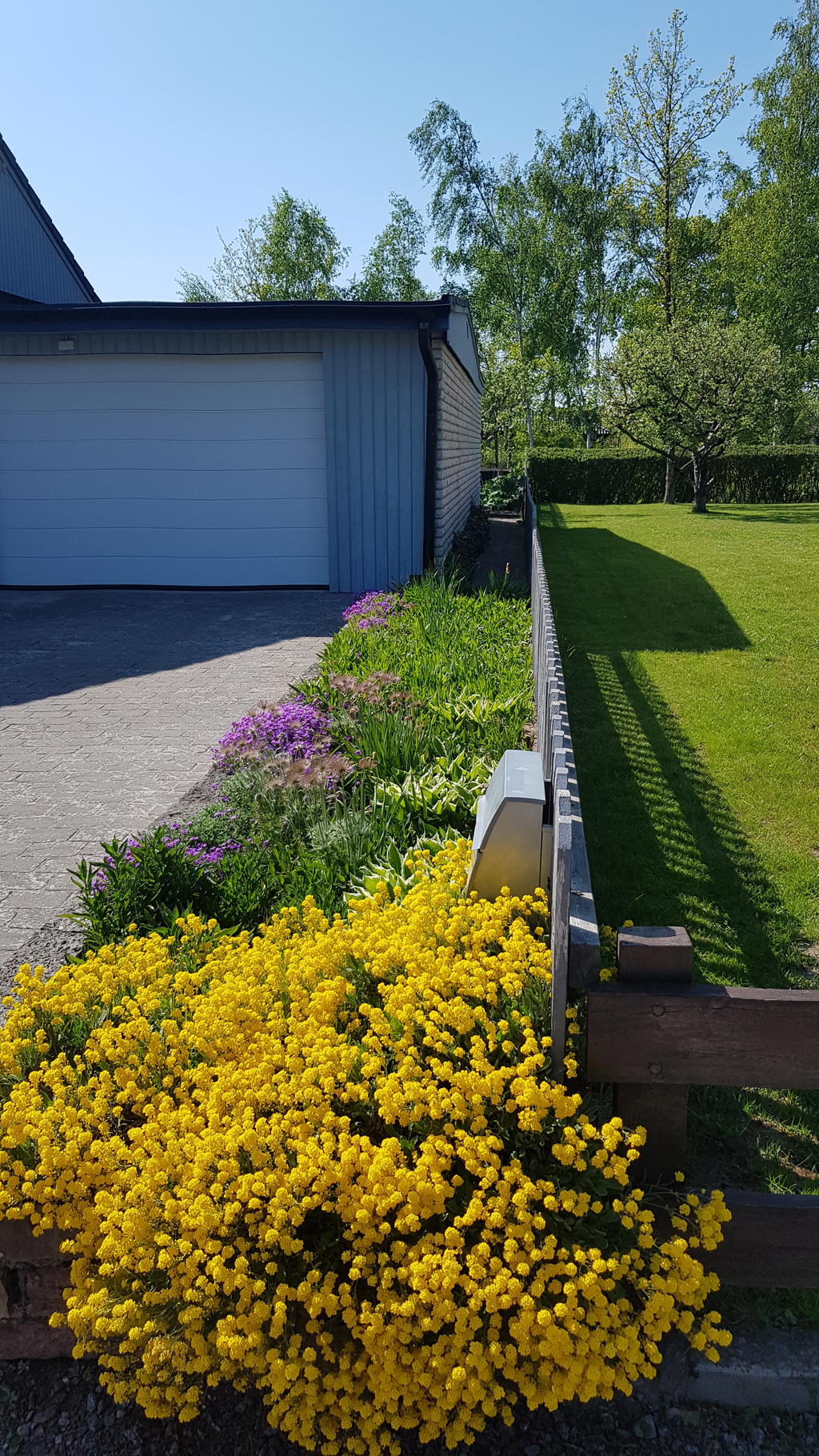 Trädgården i sommarskrud