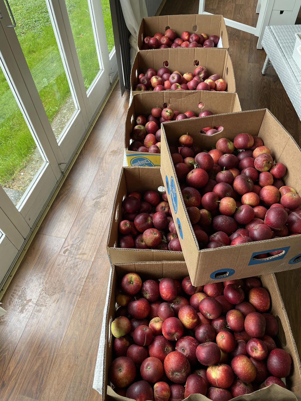 Trädgårdens egen skörd! 