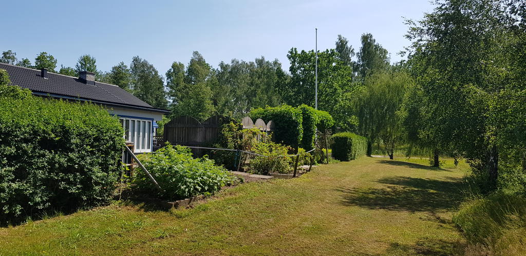 Fin allmänning utanför trädgården