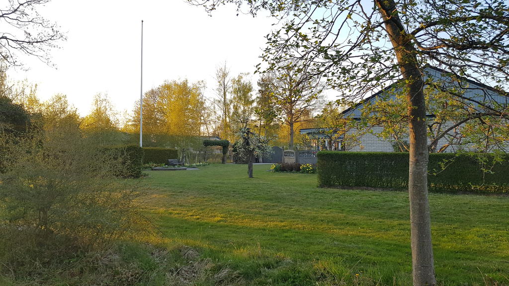 Fin allmänning utanför trädgården