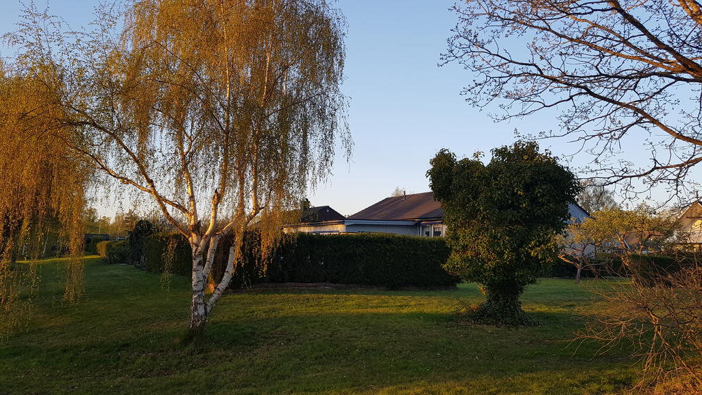 Fin allmänning utanför trädgården