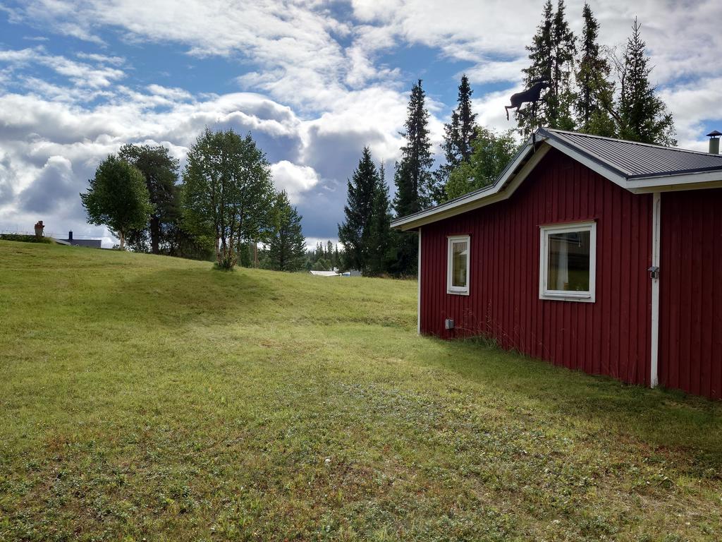 Säljarens egna bild