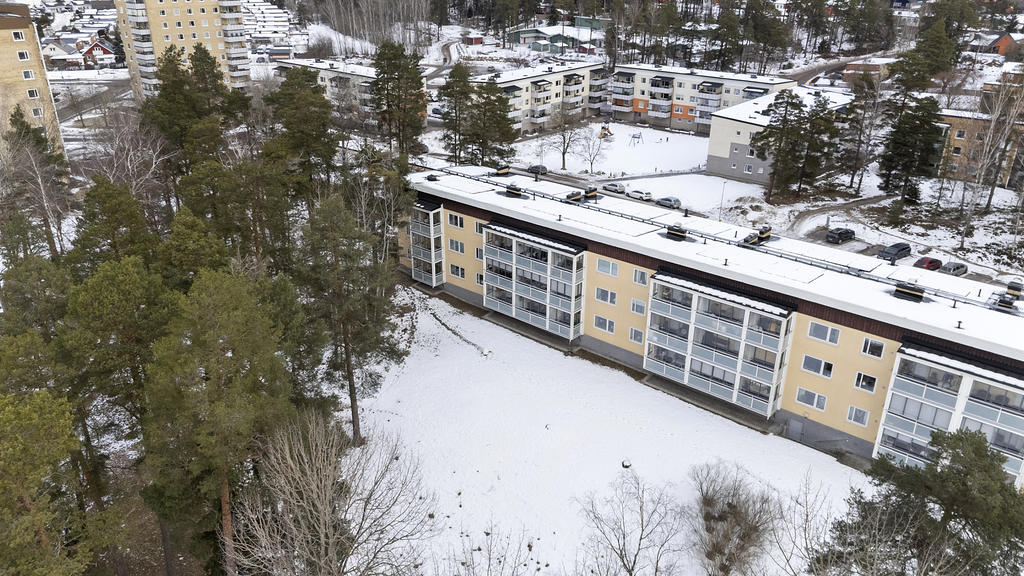 Nära skog och natur