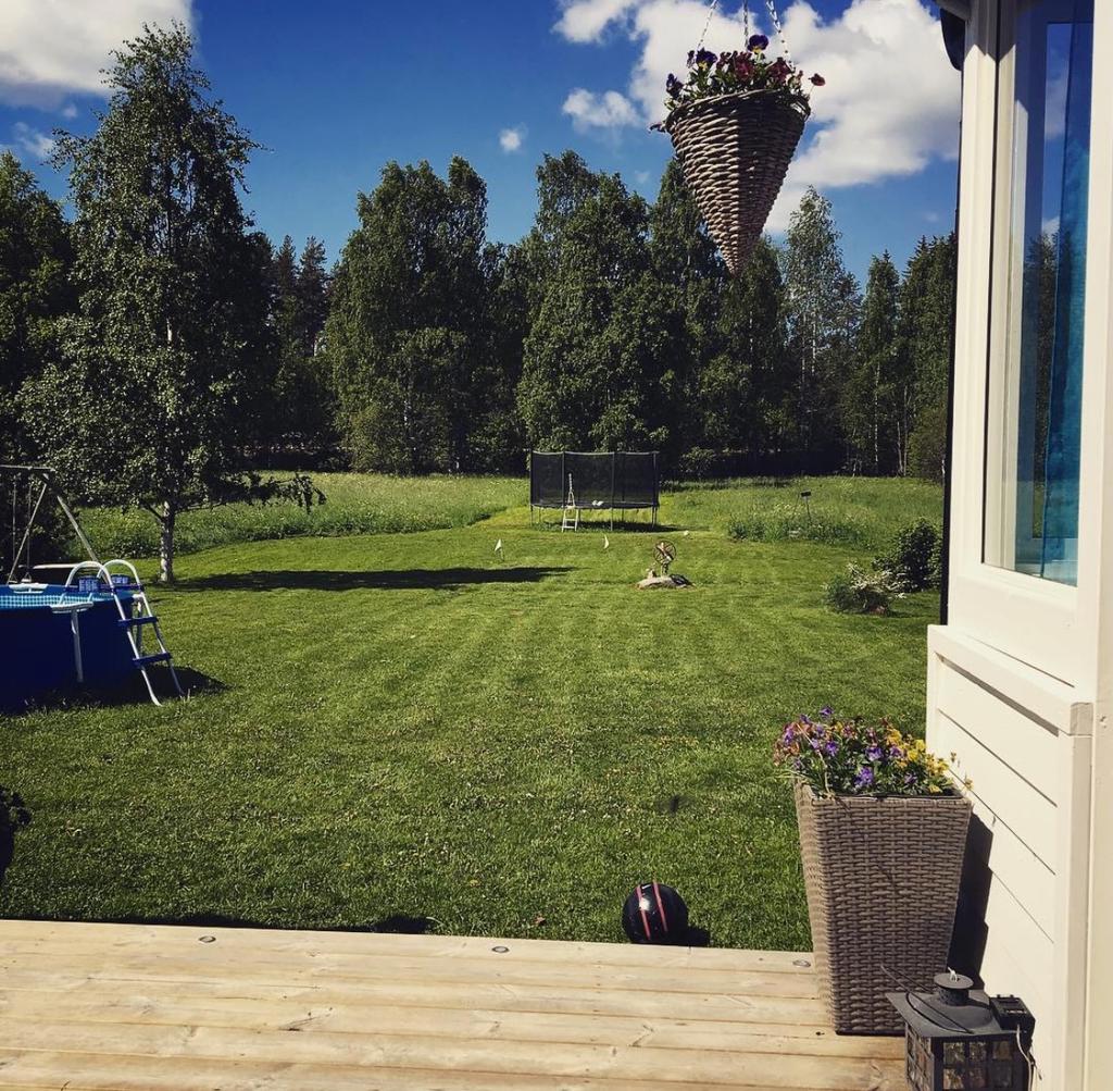 Säljaren egna bild, trädgård