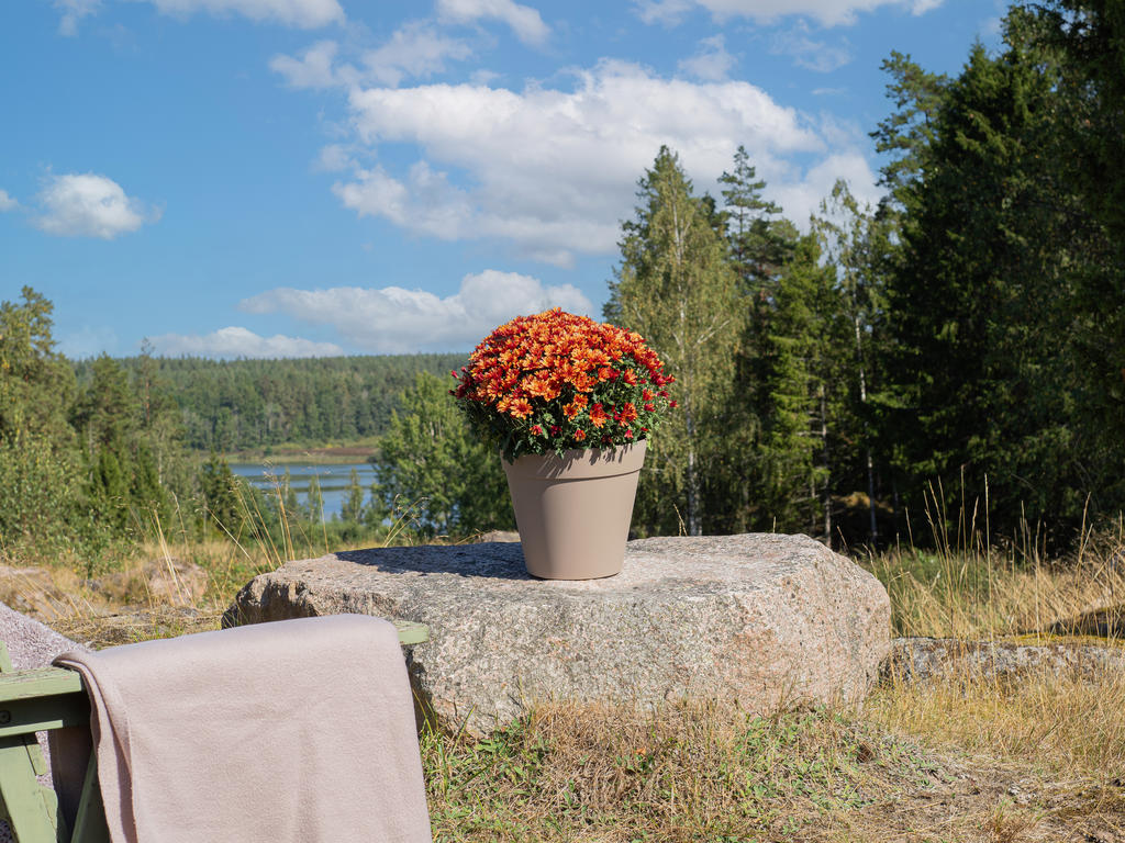 Vacker natur runt omkring och sjö precis i närheten, delar av tomten har sjöutsikt