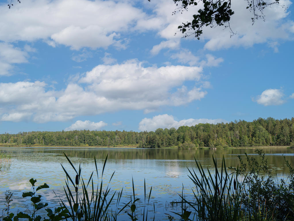 Hunsalasjön precis intill