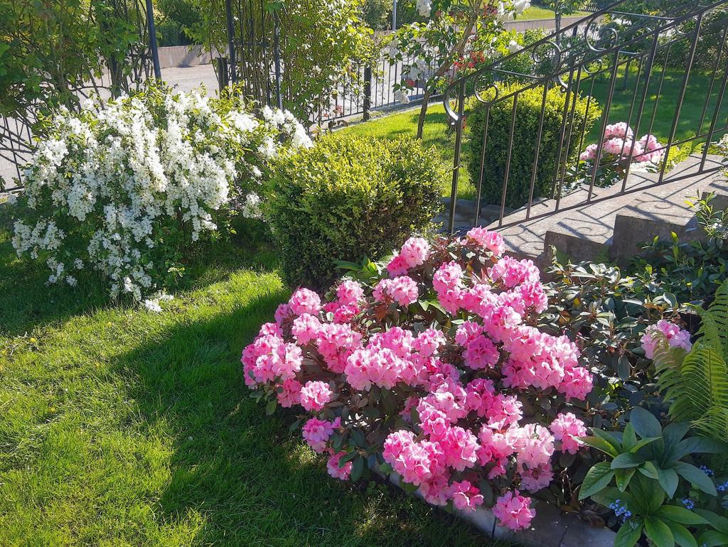 Ett utkast av säljarens egna bilder av en fantastisk trädgård