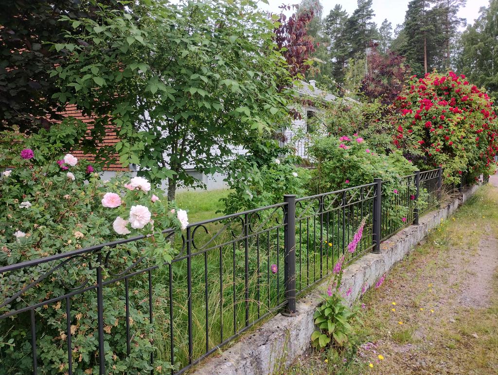 Ett utkast av säljarens egna bilder av en fantastisk trädgård