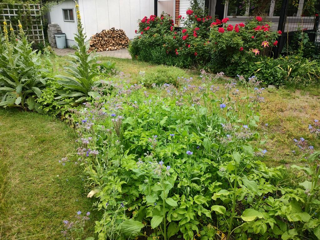 Ett utkast av säljarens egna bilder av en fantastisk trädgård